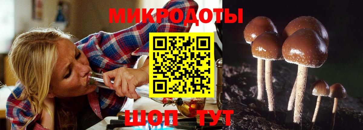 Псилоцибиновые грибы MAGIC MUSHROOMS Павловский Посад