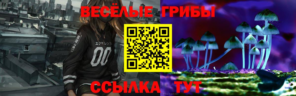 Галлюциногенные грибы MAGIC MUSHROOMS  Вход с VPN  Павловский Посад  Псилоцибиновые грибы Magic Shrooms 
